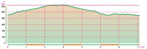 Grafico altitudine del percorso